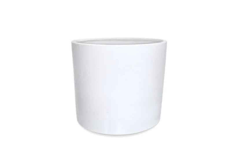 CE809W08