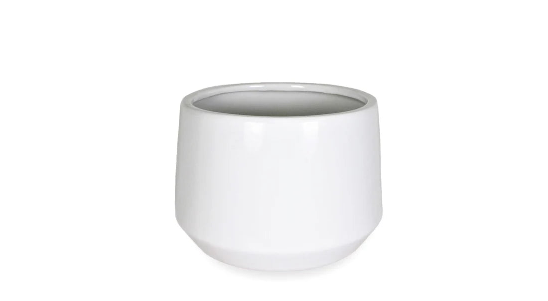 CE810W06
