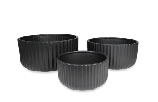 CE124MT/BLK