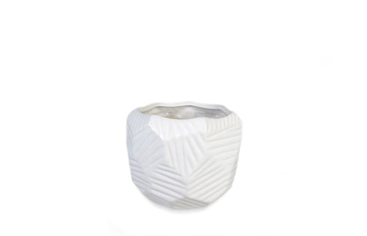 CE2572MTW04
