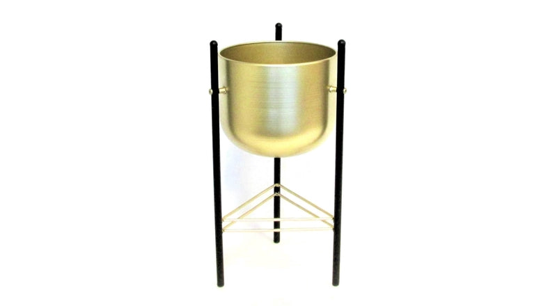 TN2097BK/GLD