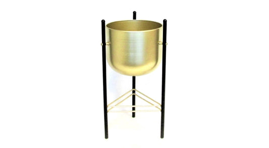TN2097BK/GLD