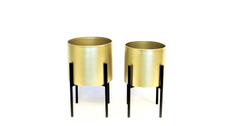 TN9014BK/GLD