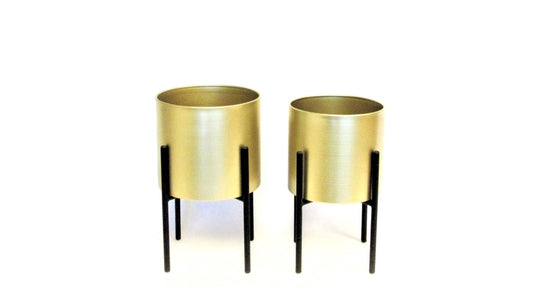 TN9014BK/GLD