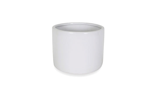CE809W06