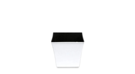 P021516WHT
