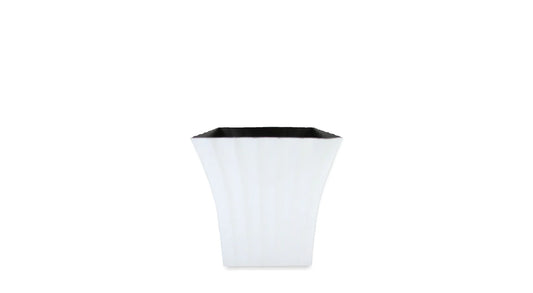 P0919WHT
