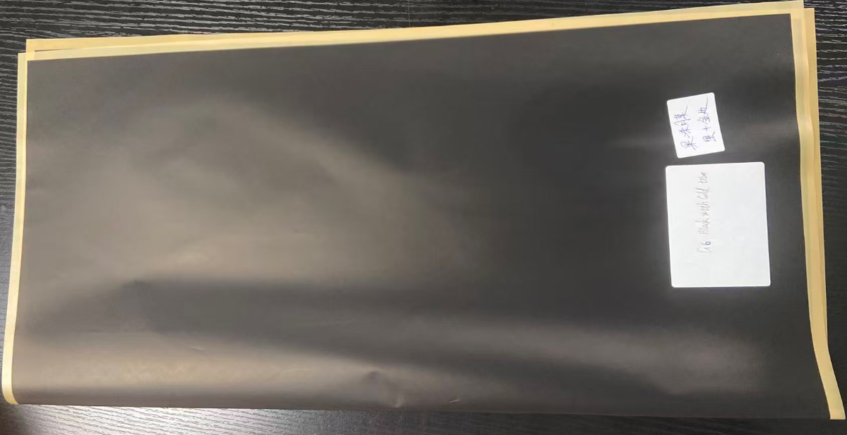 PP0051BLK/GLD